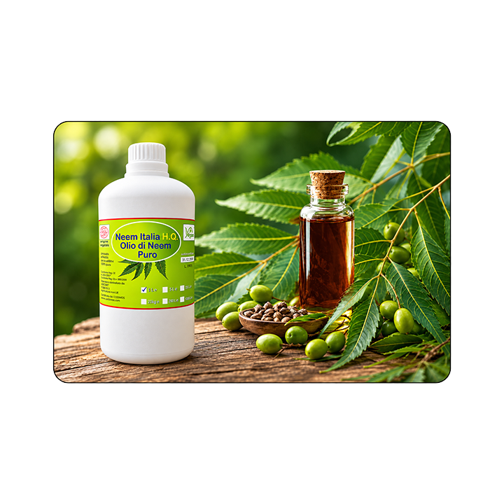 Olio di Neem Puro 1L, 5L e 25L | Neem Italia