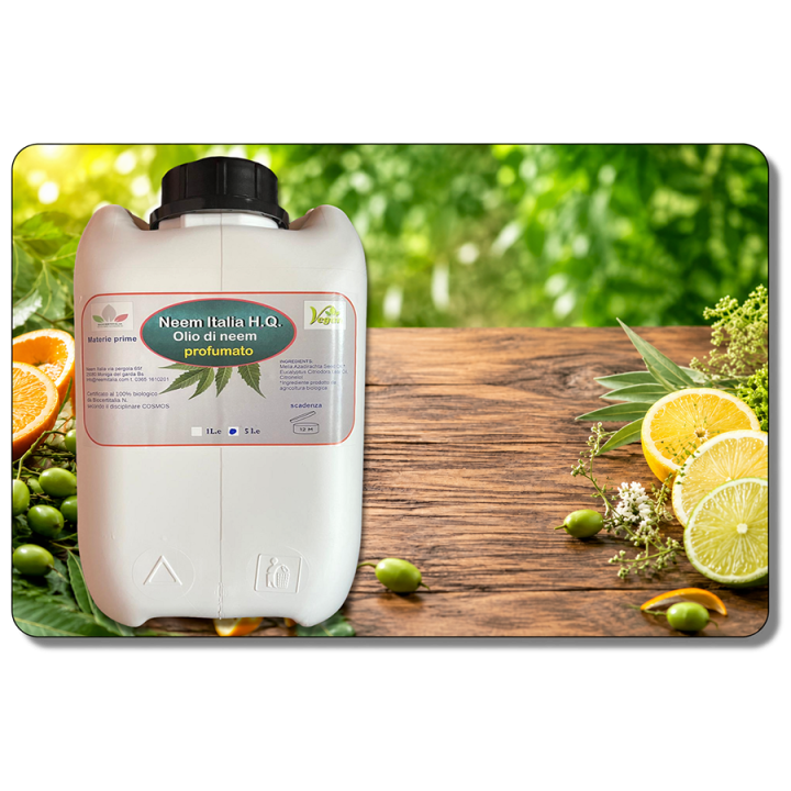 Olio di Neem Profumato 1L e 5L | Neem Italia