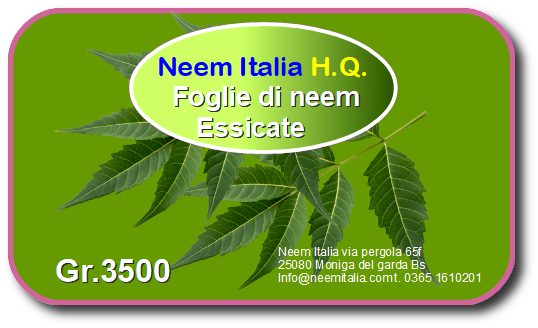 Foglie di Neem essiccate e sbriciolate 3,5 kg
